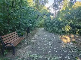 Połamane drzewa i konary w krakowskich parkach