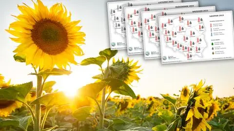 Co przyniesie druga połowa wakacji? Jest prognoza IMGW
