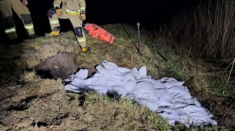 Uszczelniają uszkodzony wał przeciwpowodziowy 