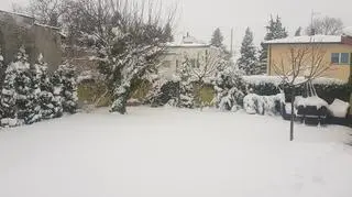 Wiosna Grójec