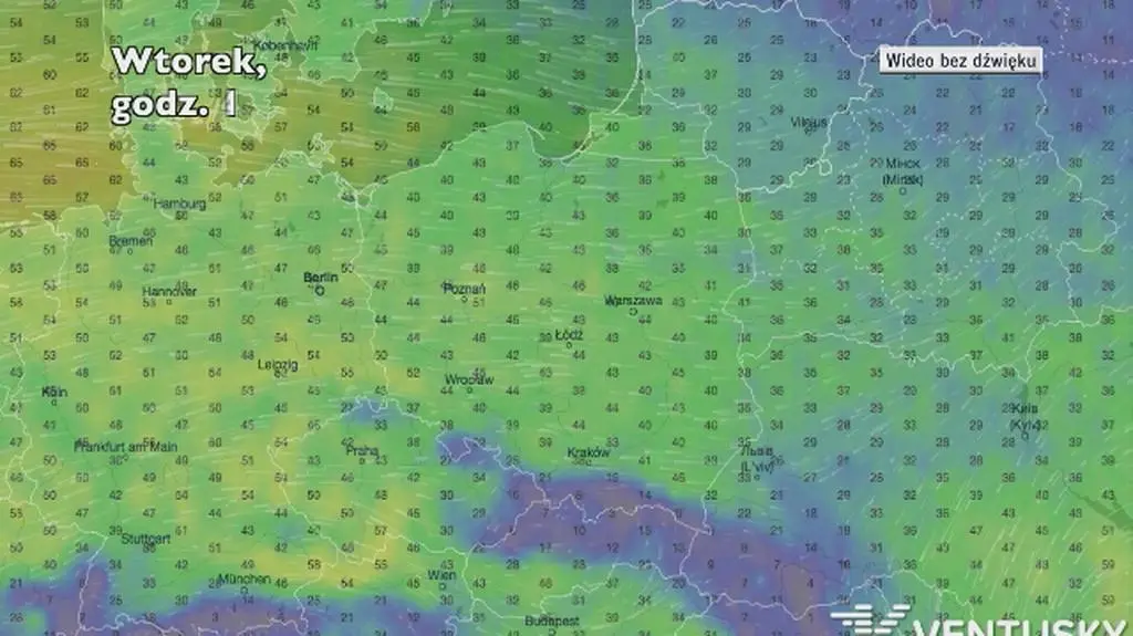 Prognozowane porywy wiatru w najbliższych dniach