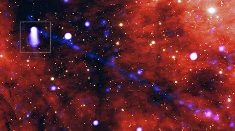 Ta gwiazda mknie przez kosmos, pozostawiając za sobą cząstki antymaterii