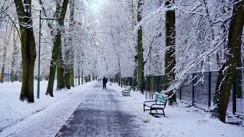 Biało w wielu regionach. Pogodowe relacje Reporterów 24