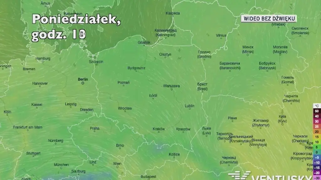 Prognozowana temperatura w kolejnych dniach (Ventusky