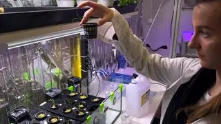 W księżycowym laboratorium i na siłowni