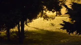 Śnieg...