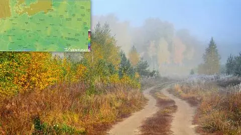 Pojawią się przymrozki