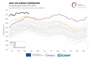 Dzienna temperatura powierzchni morza dla globalnego oceanu poza strefami polarnymi dla 2016 r. (żółta linia), 2023 r. (czerwona) i 2024 r. (czarna)