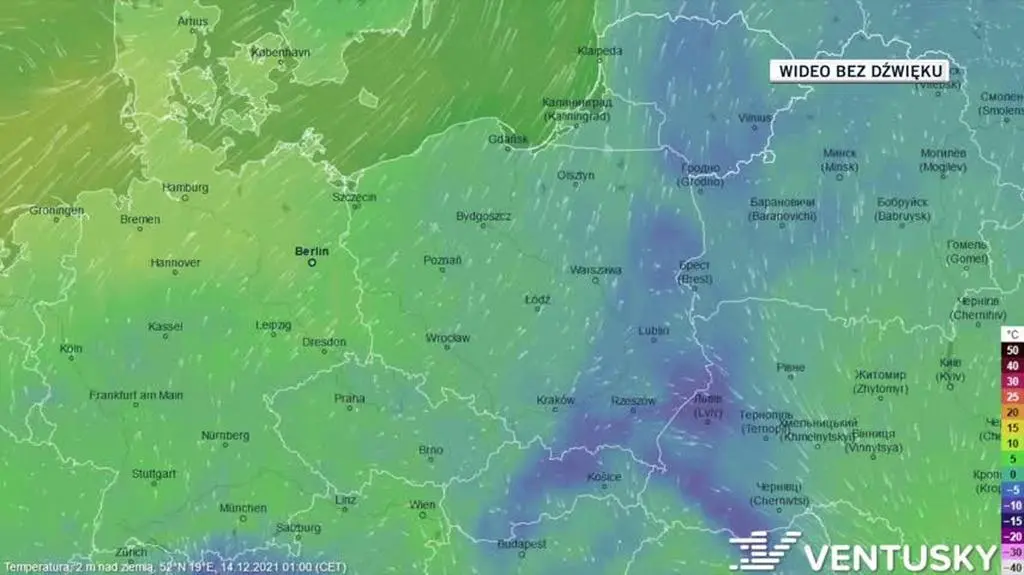 Prognozowana temperatura w ciągu kolejnych dni