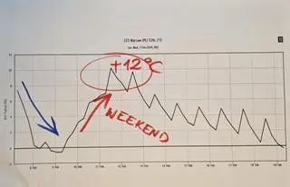 Prognozowana temperatura w Warszawie od 7 do 19 lutego