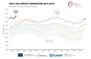 Codzienna temperatura powierzchni morza uśredniona dla globalnego oceanu pozapolarnego dla lat 2015 (niebieska linia), 2016 (żółta linia), 2023 (czerwona linia) i 2024 (czarna linia)