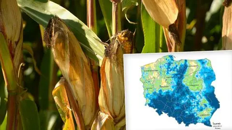 Susza w połowie kraju