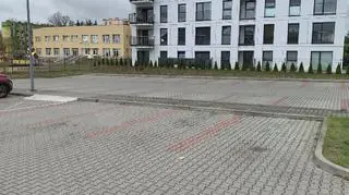 Jeleń na bydgoskim osiedlu FORDON