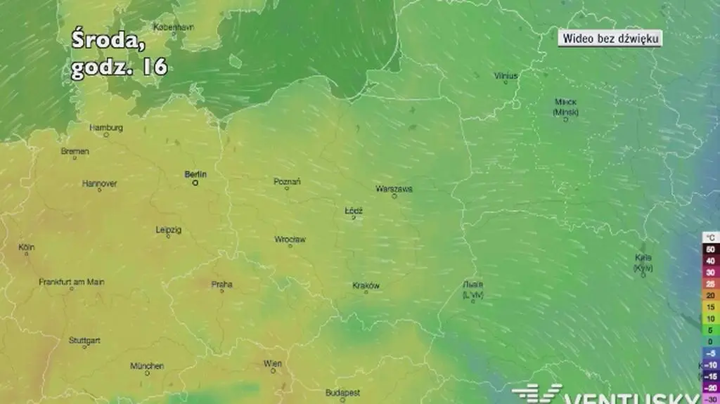 Temperatura w kolejnych dniach (Ventusky