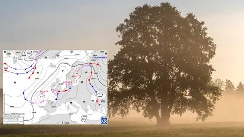 "Nareszcie się uda wypchnąć chłód"