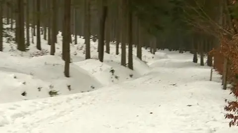 W Karkonoszach panują trudne warunki do wędrówek