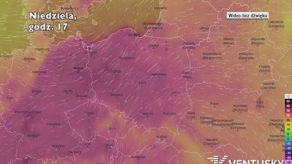 Temperatura w ciągu w kolejnych pięciu dni (Ventusky