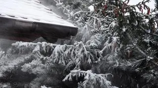 Śnieg pada coraz mocniej i zawiewa