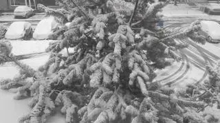 Siedlce sobota poranek po 7:00