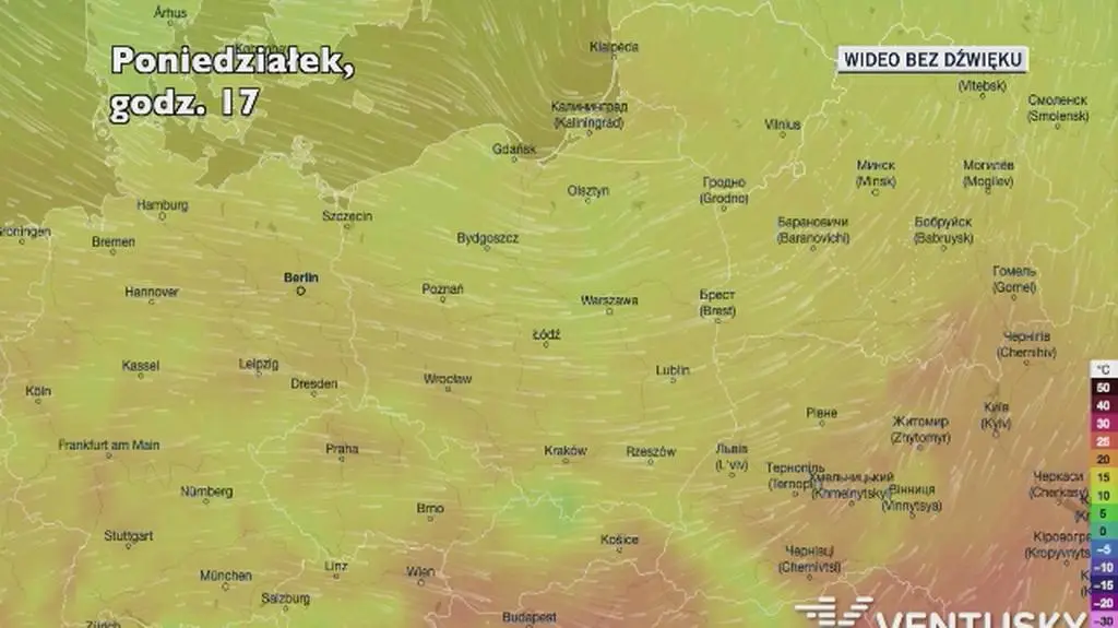 Temperatura w ciągu godzin (Ventusky