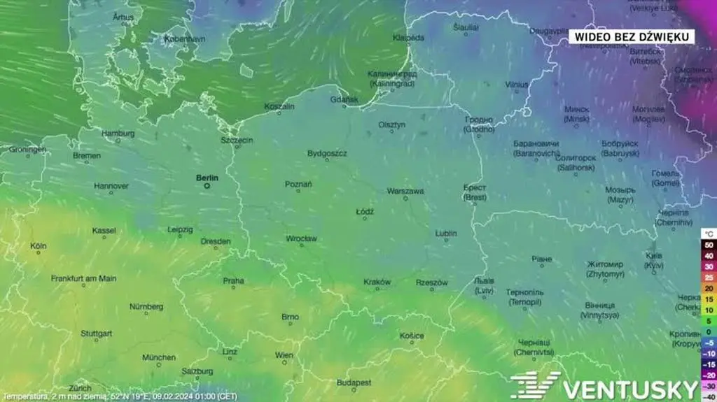 Prognozowana temperatura w kolejnych dniach