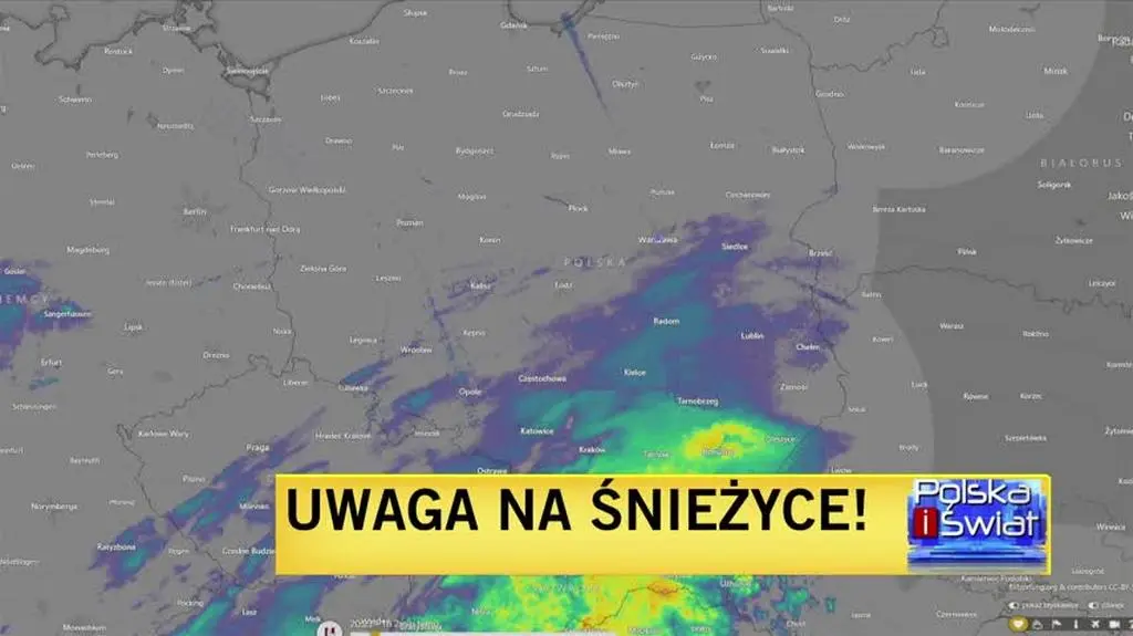 zubi2