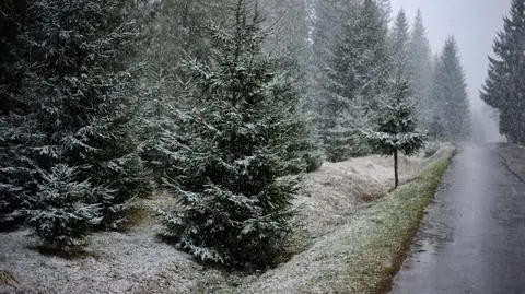 Śnieg