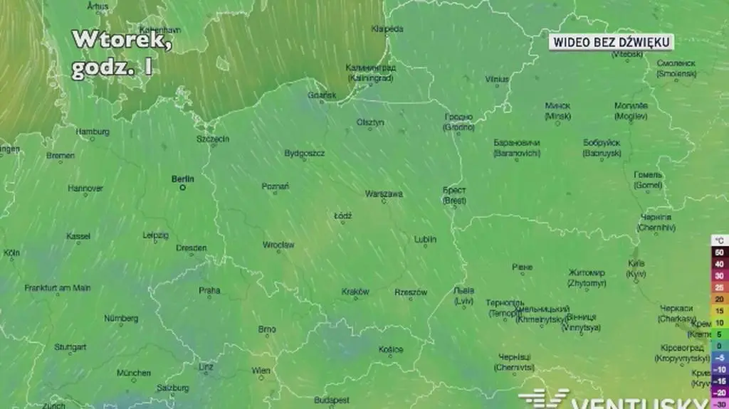 Prognozowana temperatura w najbliższych dniach (Ventusky