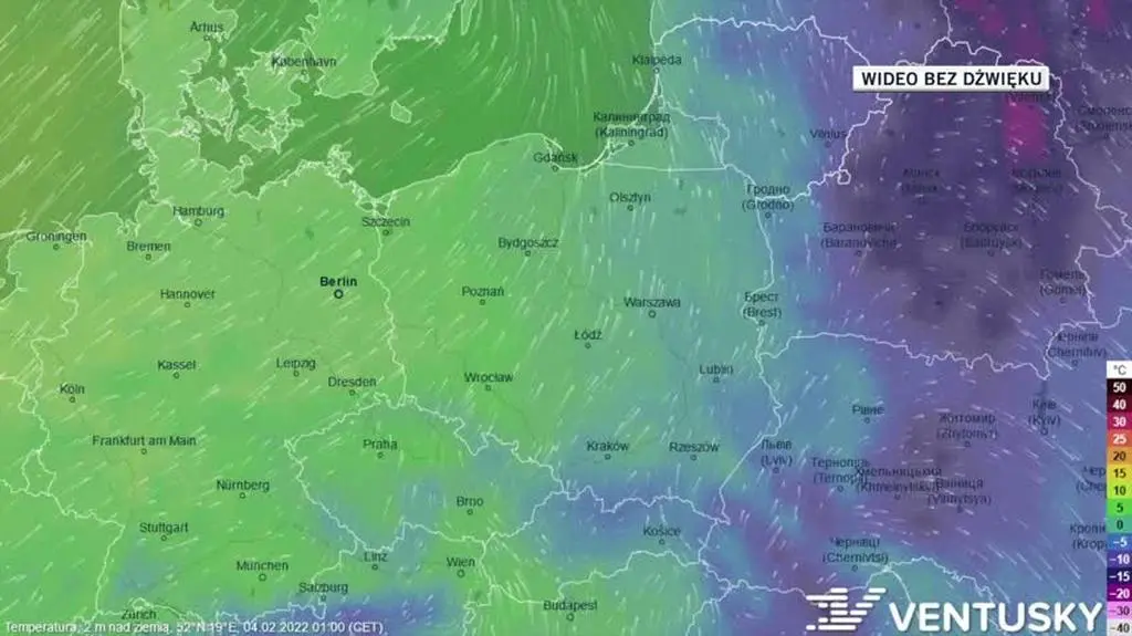 Prognozowana temperatura w ciągu kolejnych dni