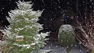 Pada mocno śnieg
