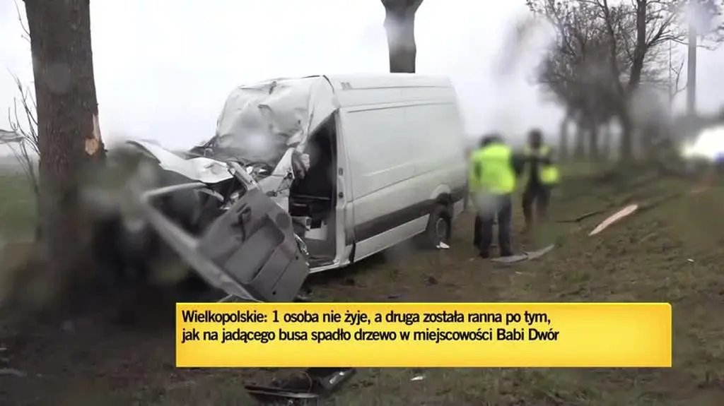Ofiary śmiertelne wichur