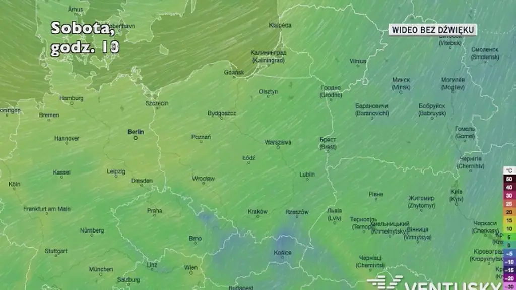 Prognozowana temperatura w najbliższych dniach