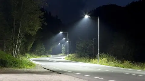 Lampy ledowe szkodzą owadom