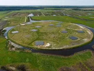Jeden z teleskopów sieci LOFAR