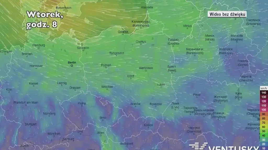 Prognozowane porywy wiatru w najbliższych dniach (Ventusky