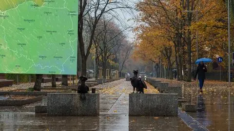 Czeka nas zimny prysznic, "pogodowy szok". W prognozie widać przymrozki