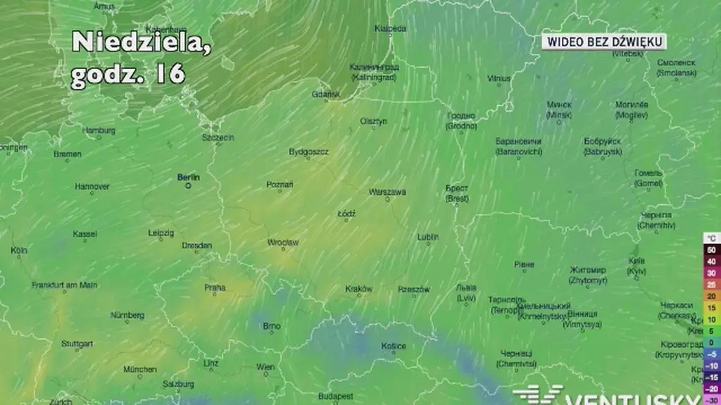 Prognozowana temperatura w najbliższych dniach (Ventusky