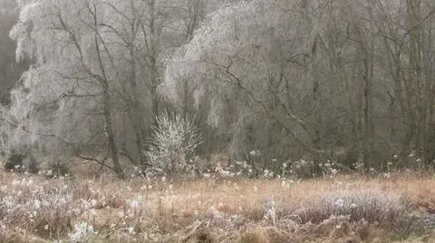 Najbliższe dni przyniosą opady deszczu, deszczu ze śniegiem oraz śniegu