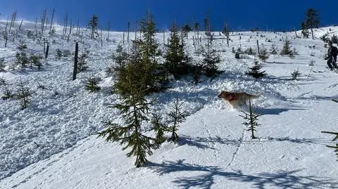 W Beskidach nawet 140 cm śniegu. Warunki są trudne, istnieje zagrożenie lawinowe