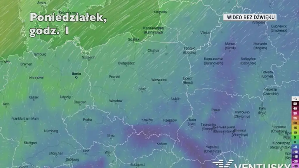 Prognozowana temperatura w kolejnych dniach (Ventusky