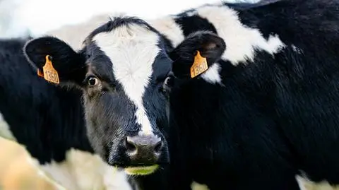 AdobeStock_429824712