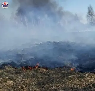 Pożary w okolicach Tomaszowa Lubelskiego