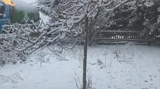 śnieg 