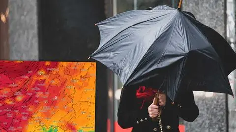 "Bardzo niebezpieczna pogoda z silnym wiatrem, opadami deszczu, burzami"