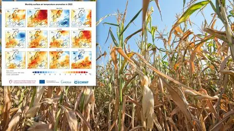 "Ekstremalne upały, powszechna susza". Europa na mapach, jakich jeszcze nie było