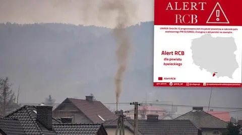 Alert RCB rozesłany dla części Śląska. "Zrezygnuj z aktywności na zewnątrz"