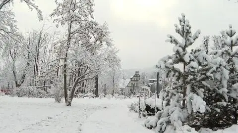 W Zakopanem spadł śnieg