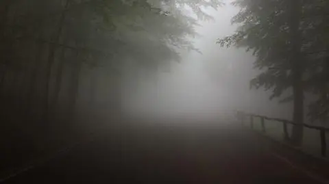 Mgły w Polsce