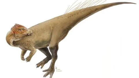 Co łączy ptaki i dinozaury? "Poszukaliśmy i udało się znaleźć"
