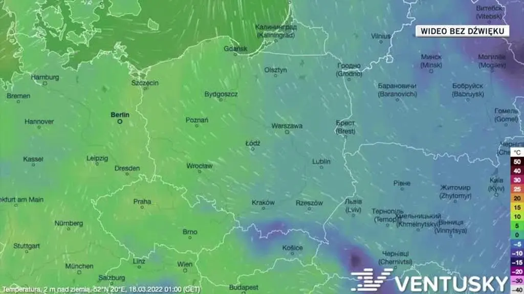Prognozowana temperatura w najbliższych dniach 